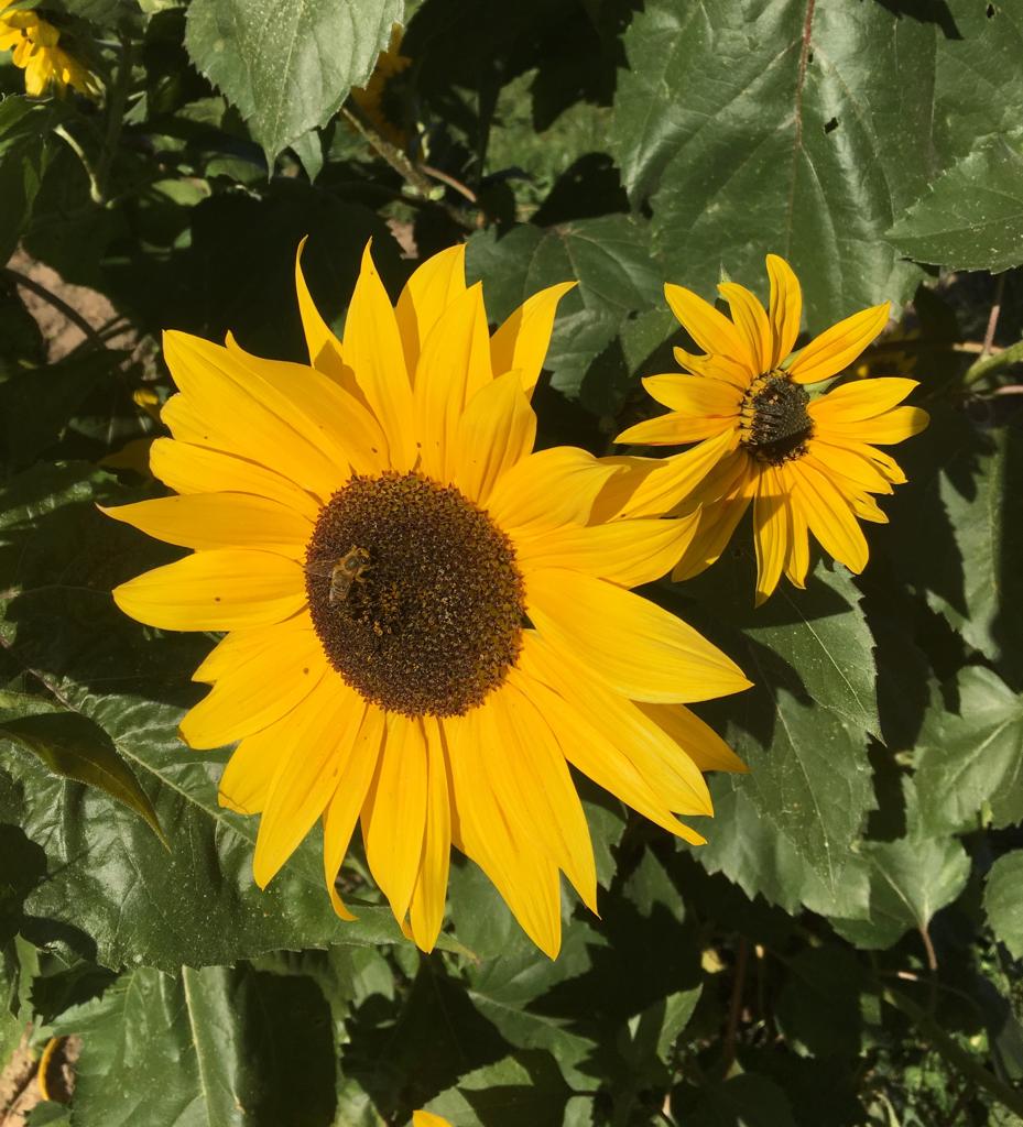 WhatsApp Image 2019-11-09 at 07.28.13